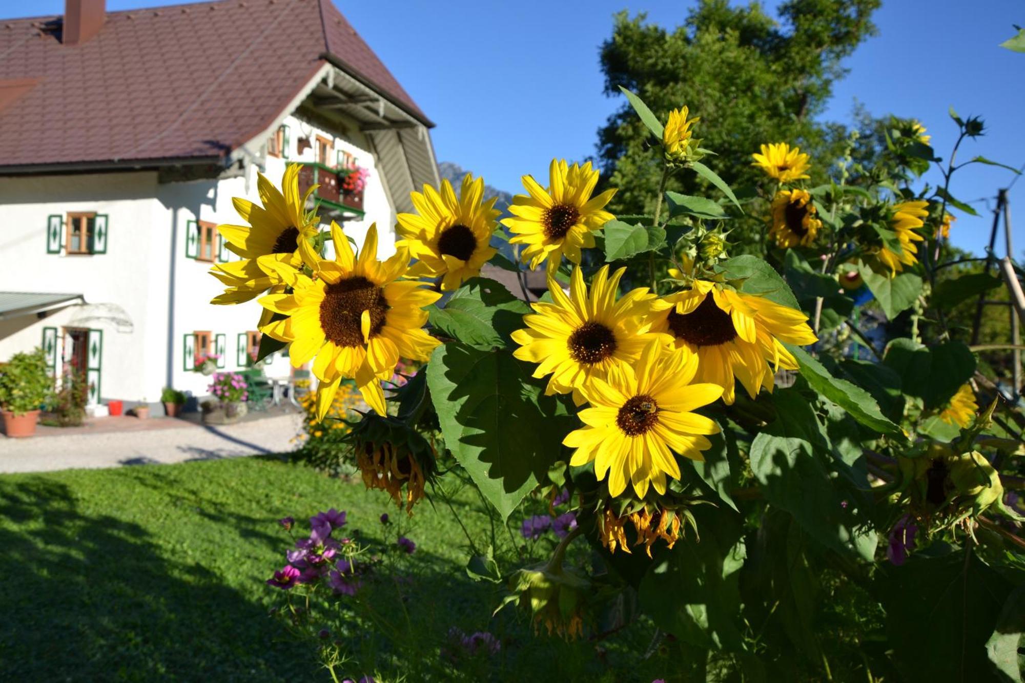 Kerschbaumergut Grossgmain Exteriör bild