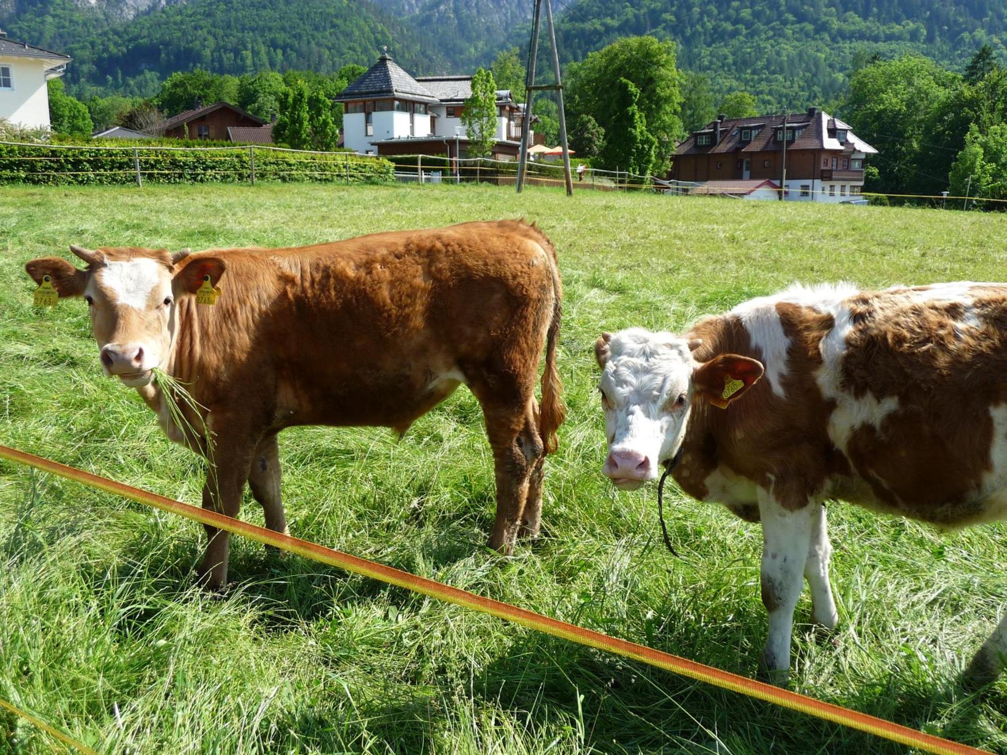 Kerschbaumergut Grossgmain Exteriör bild
